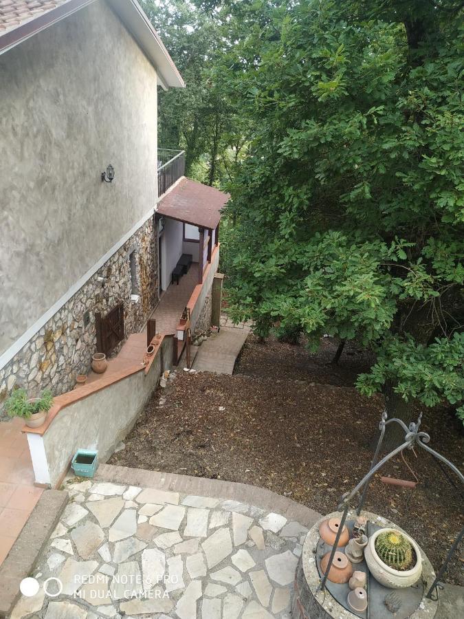 Casa Dei Faggi Apartment Tolfa Exterior photo