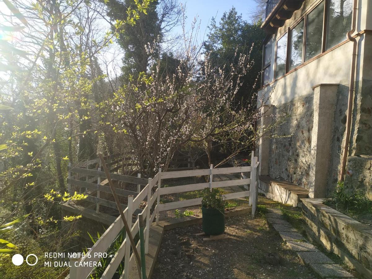Casa Dei Faggi Apartment Tolfa Exterior photo