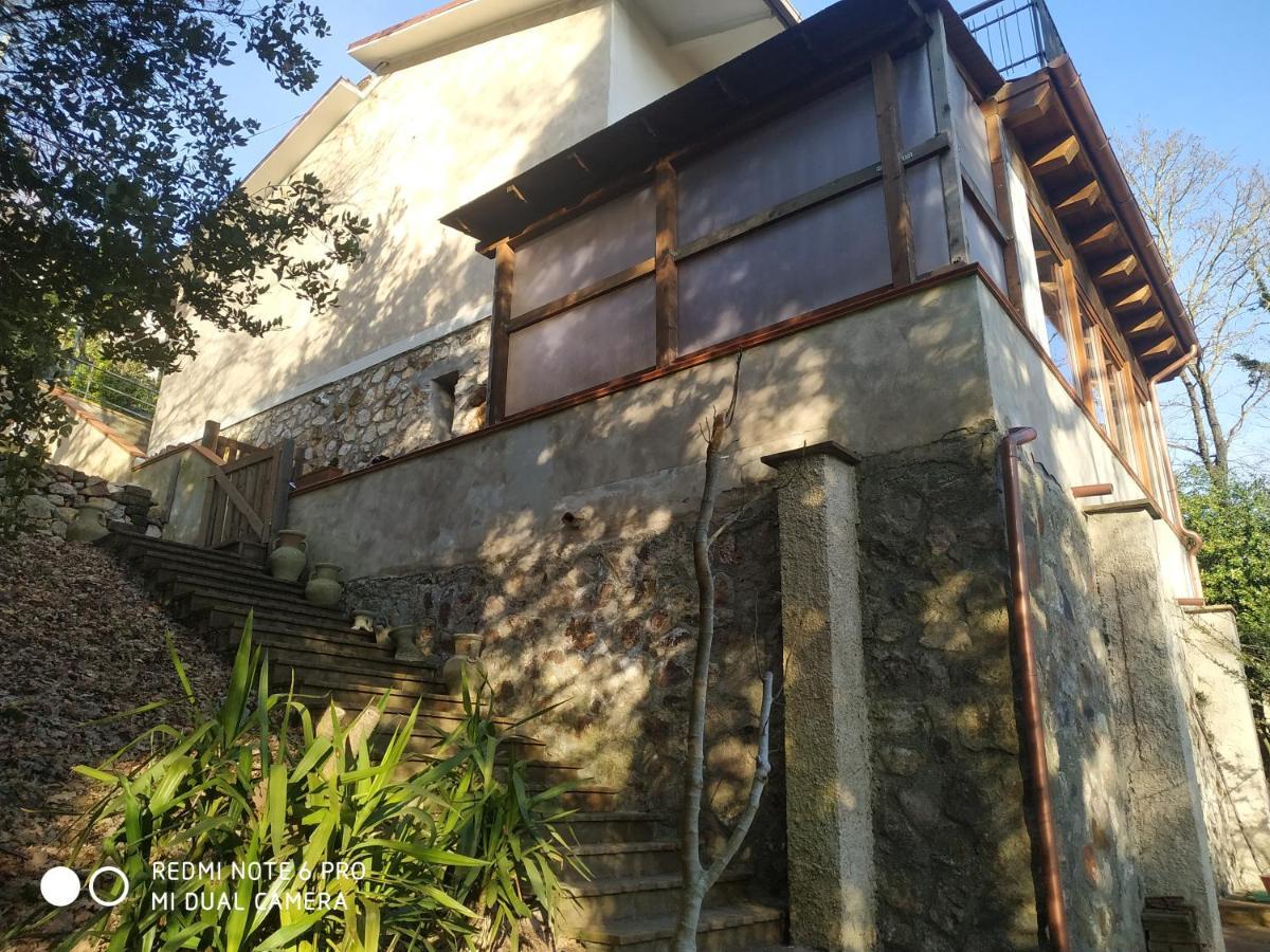 Casa Dei Faggi Apartment Tolfa Exterior photo