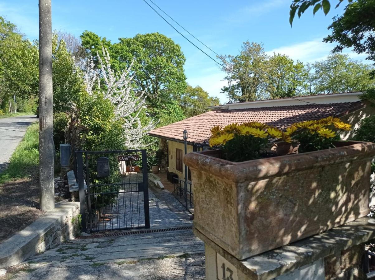 Casa Dei Faggi Apartment Tolfa Exterior photo