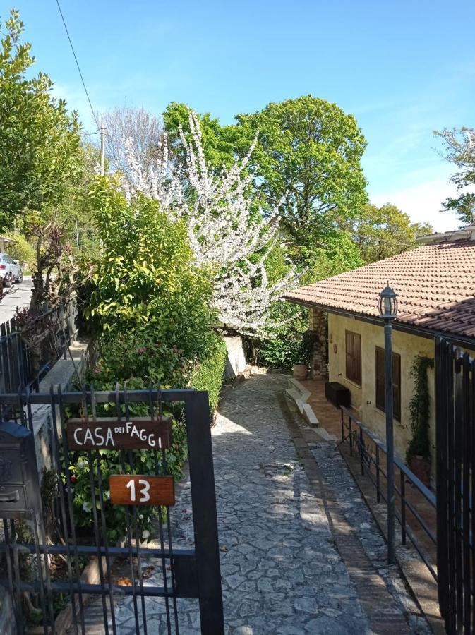 Casa Dei Faggi Apartment Tolfa Exterior photo